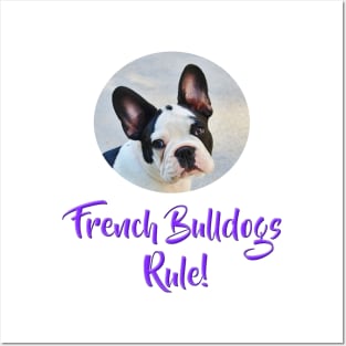 French Bulldogs Rule! Posters and Art